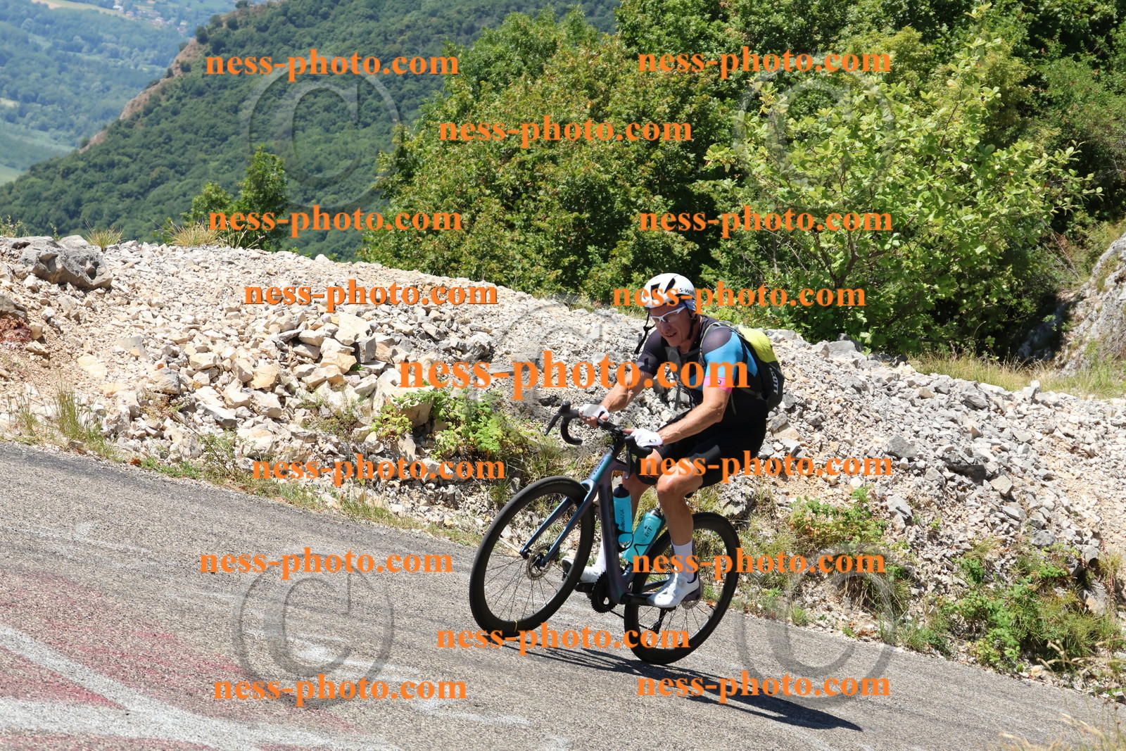 Col du Grand Colombier (2620).JPG