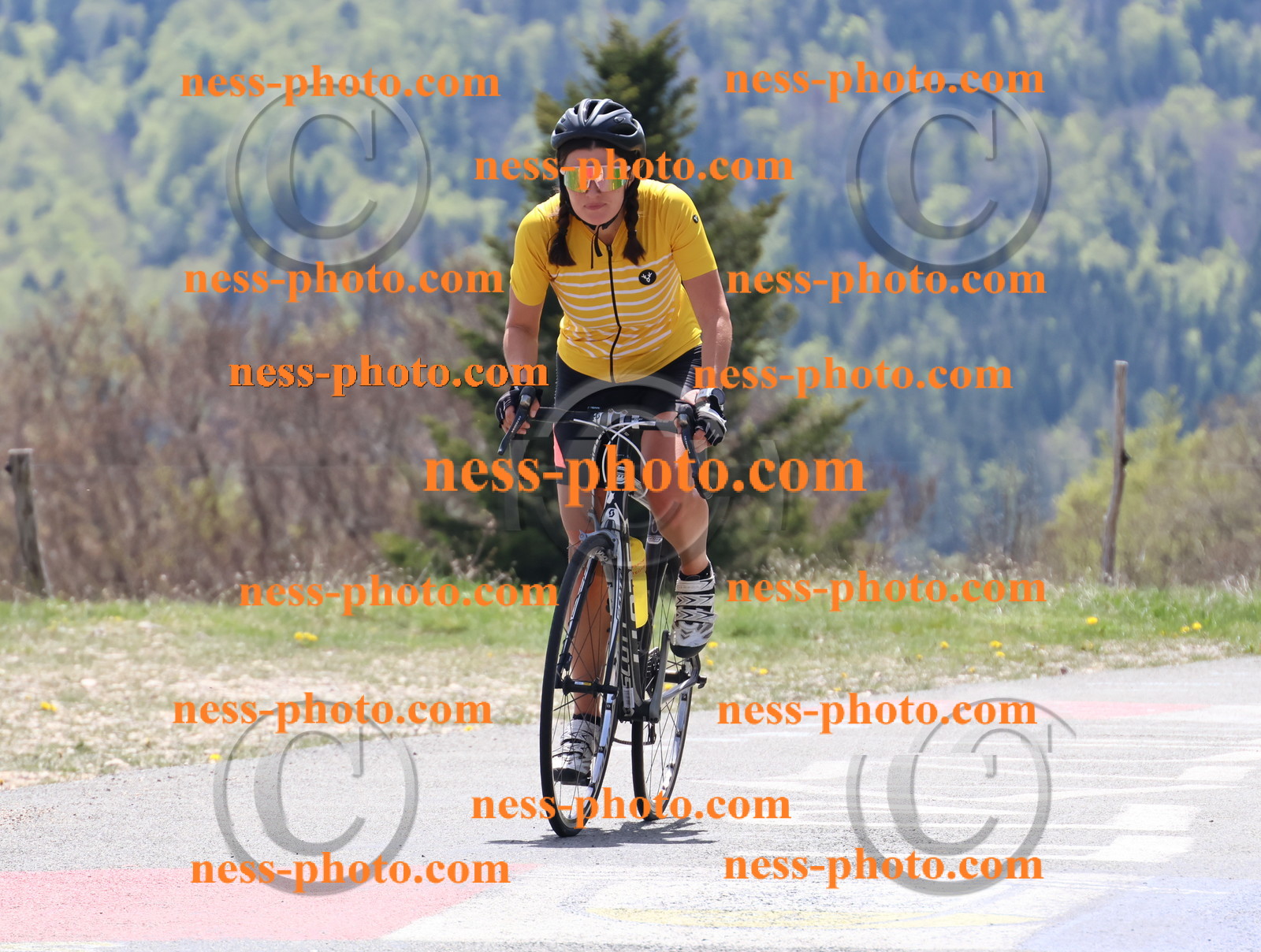 Col du Grand Colombier (471).JPG