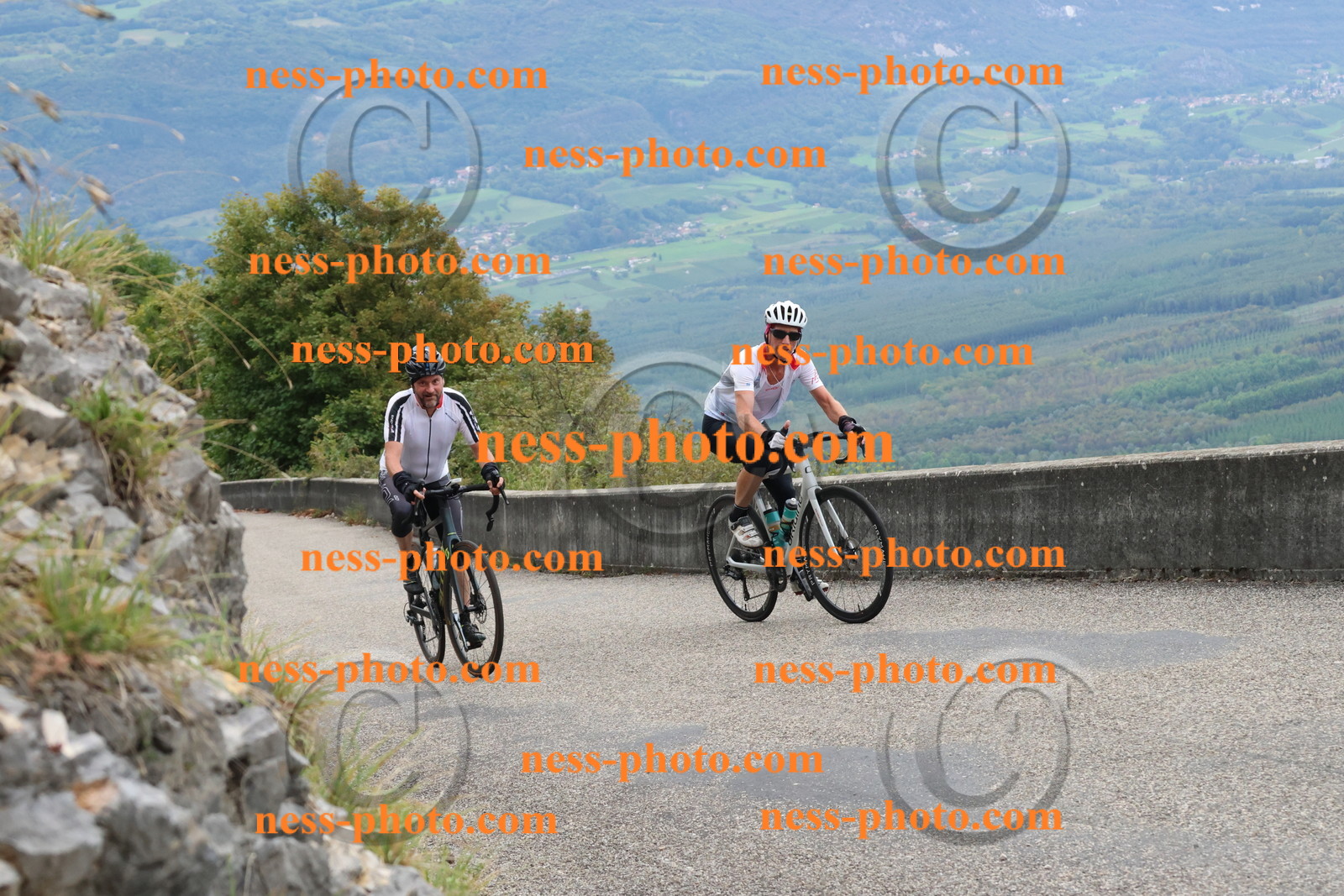 Col du Grand Colombier (568).JPG