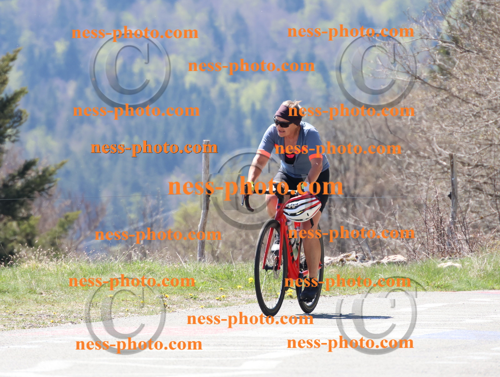 Col du Grand Colombier (257).JPG