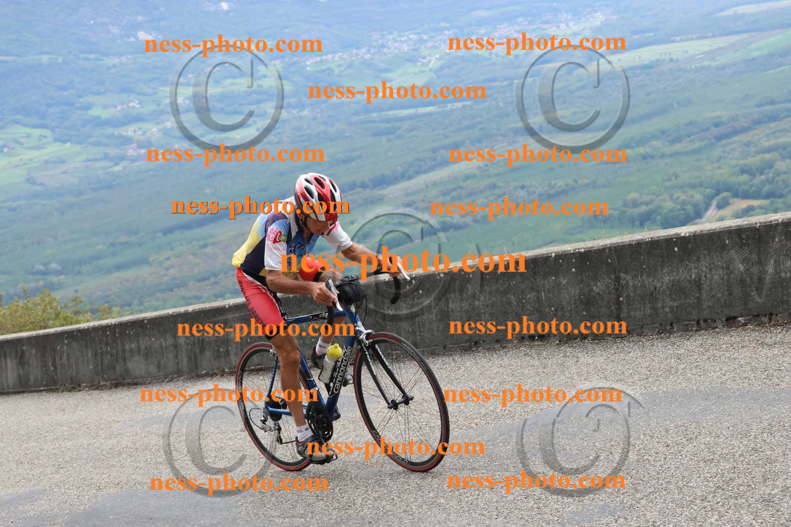 Col du Grand Colombier (482).JPG