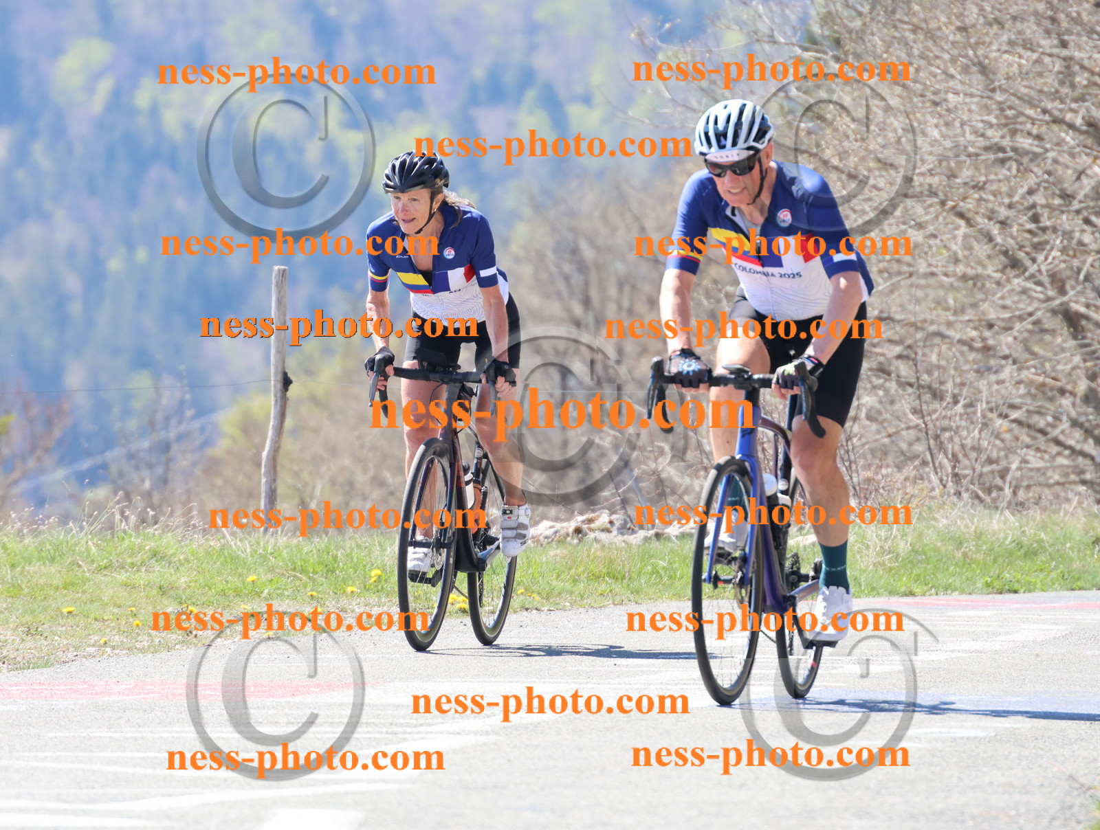 Col du Grand Colombier (133).JPG