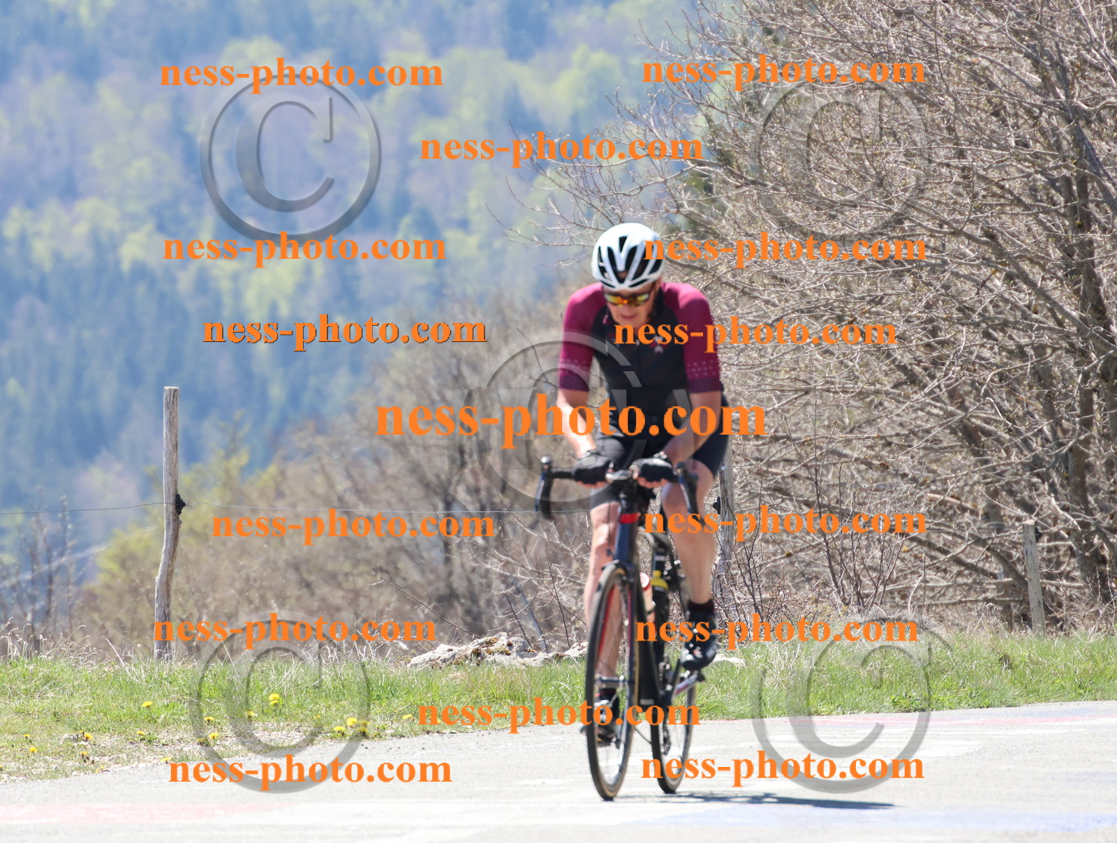 Col du Grand Colombier (281).JPG