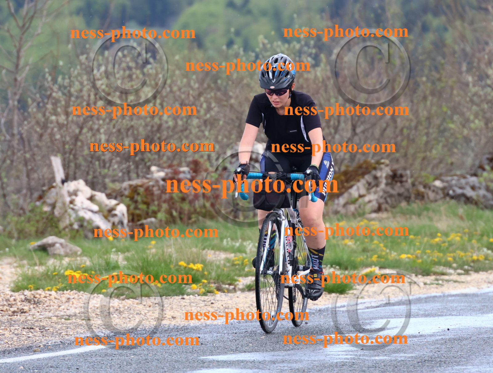 Col du Grand Colombier (258).JPG