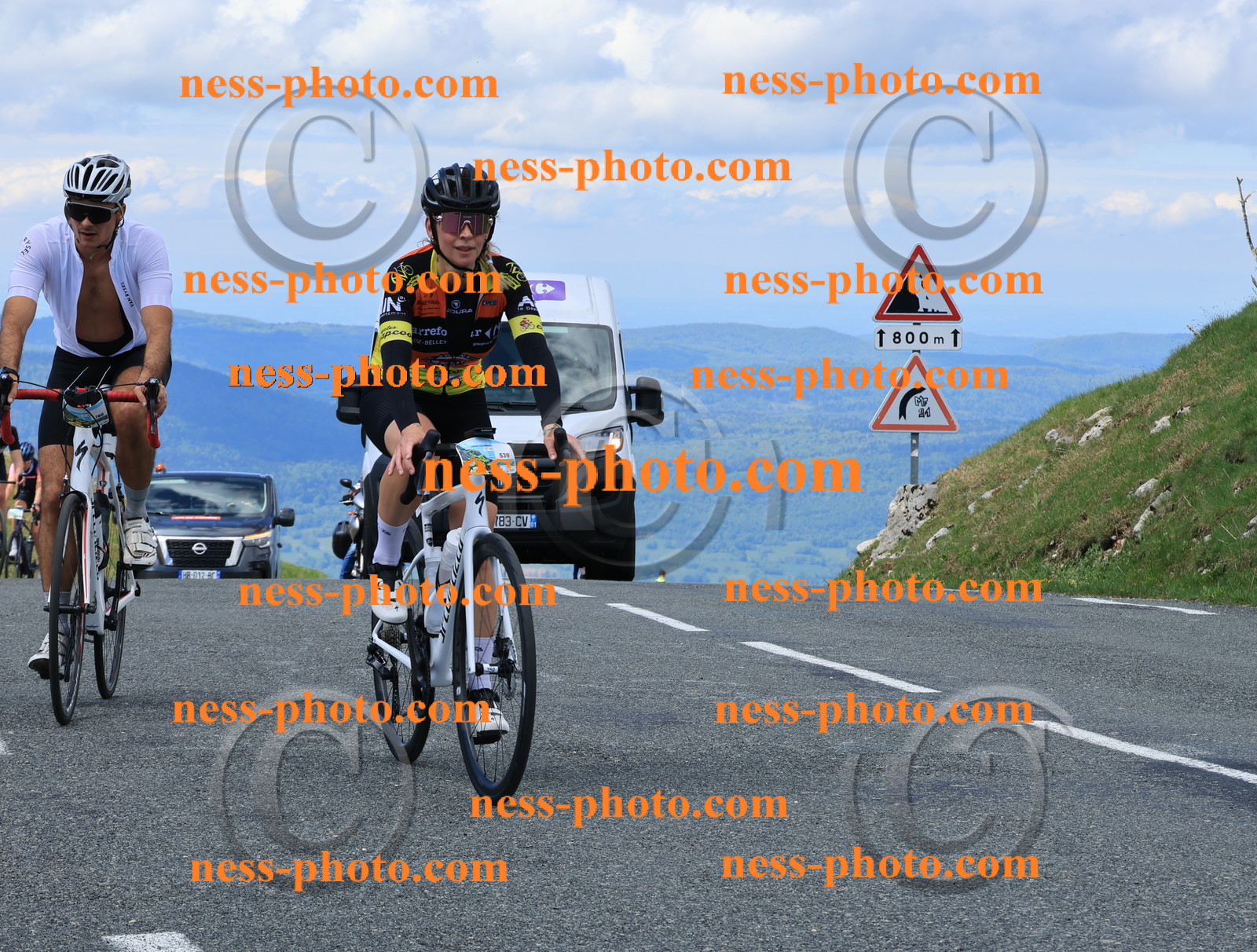 Col du Grand Colombier (2645).JPG