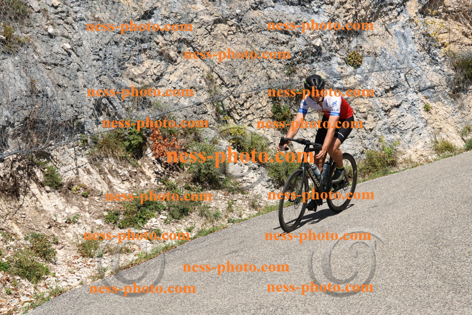 Col du Grand Colombier (525).JPG