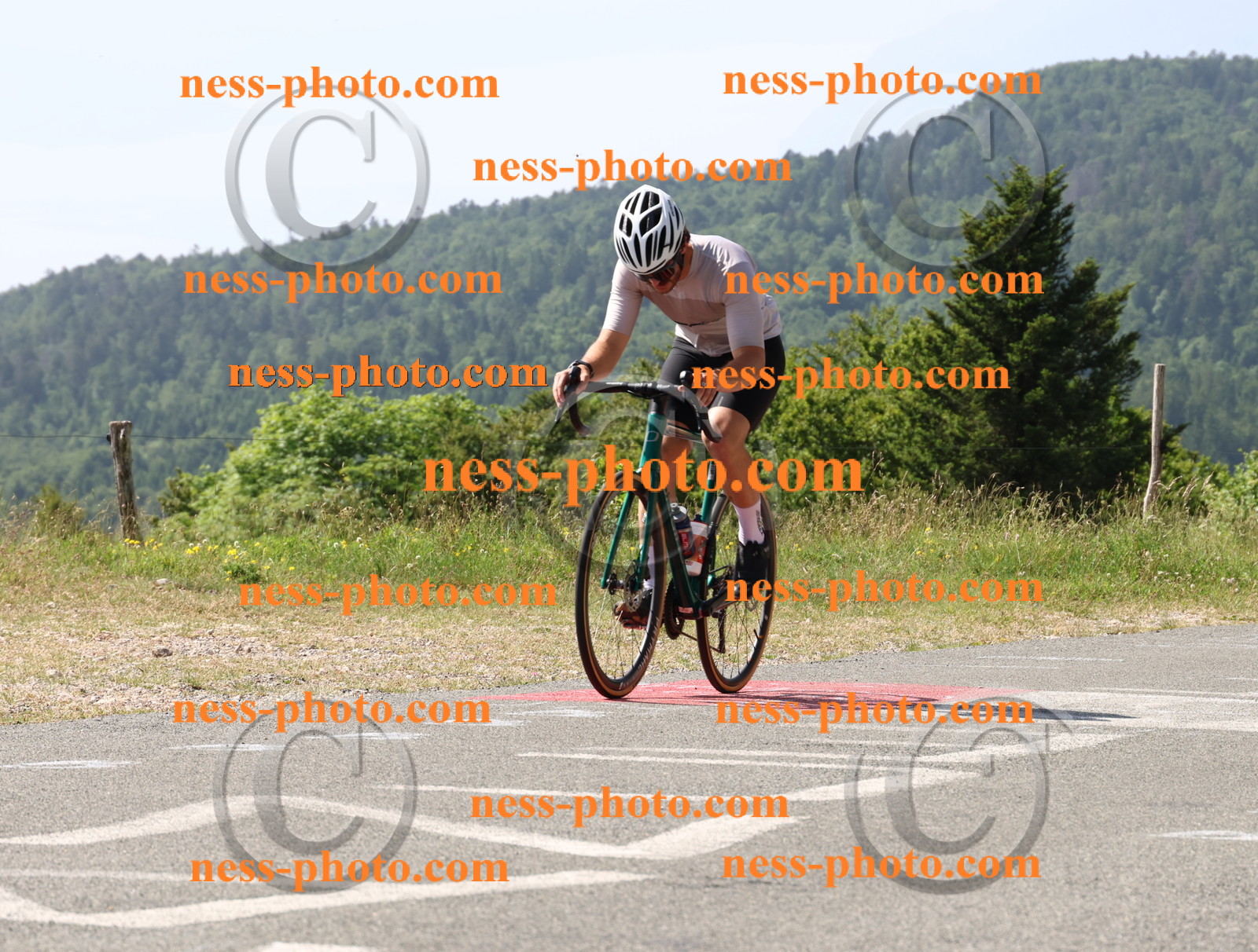 Col du grand Colombier (670).JPG