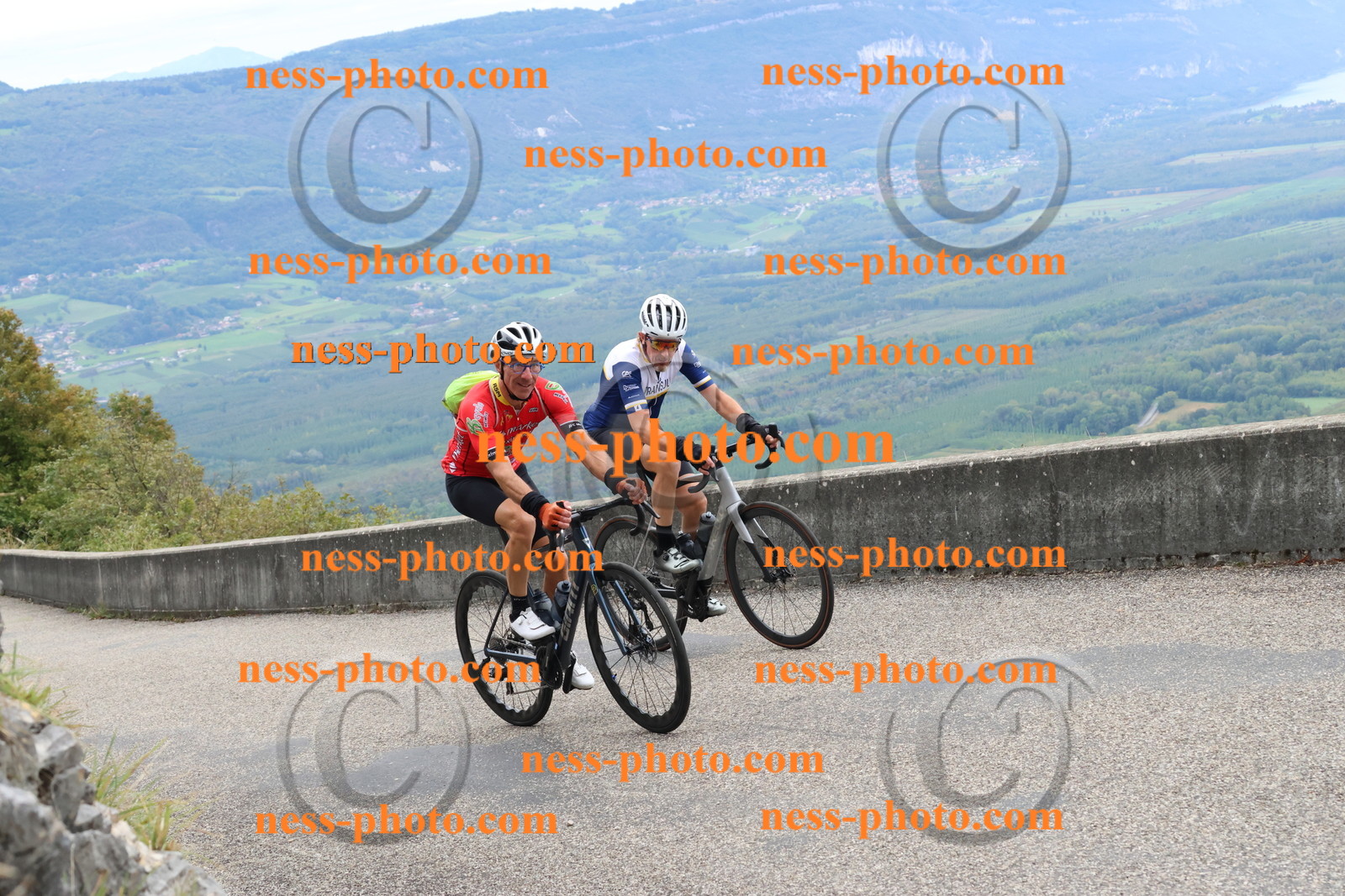 Col du Grand Colombier (1365).JPG