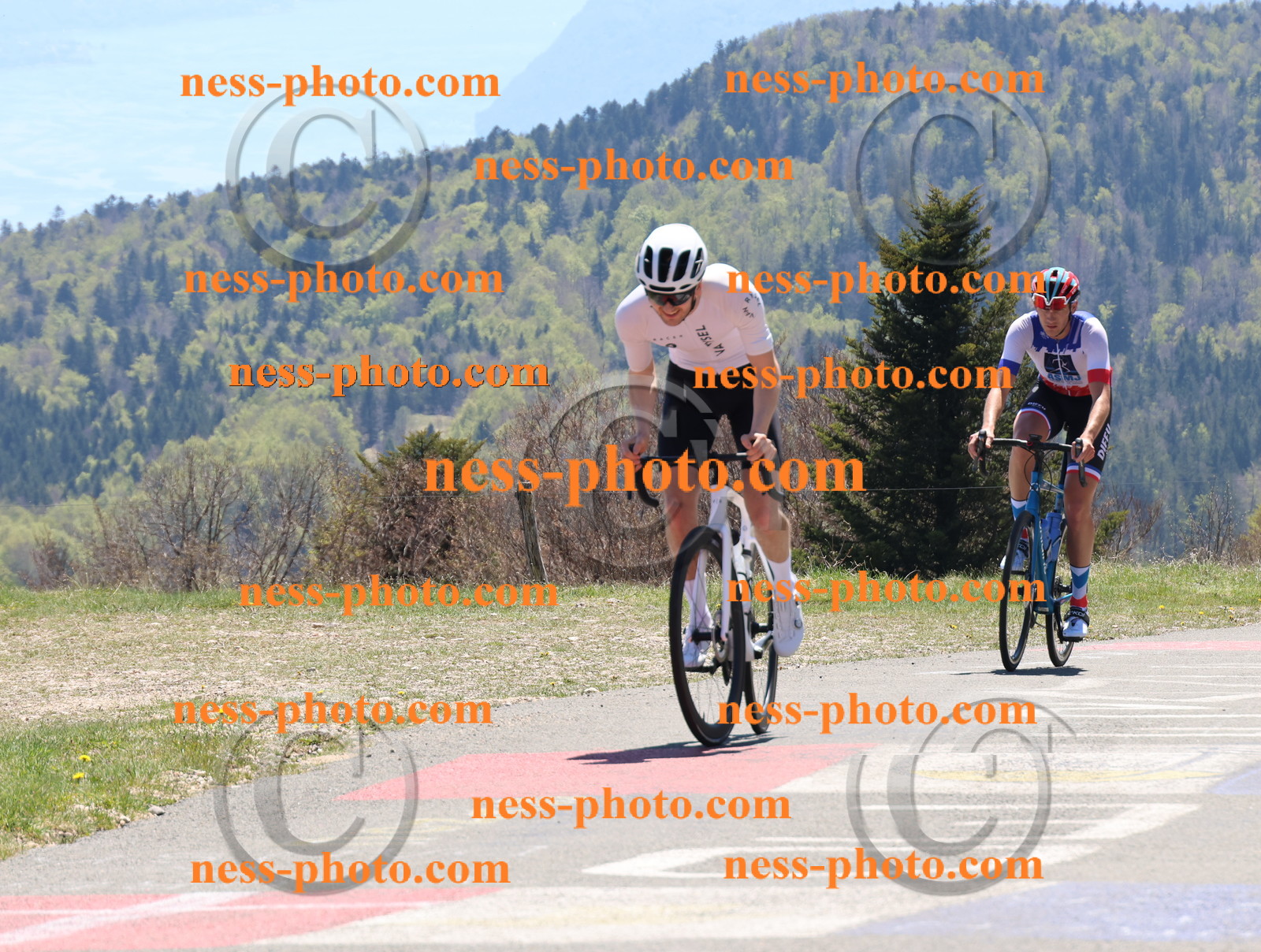 Col du Grand Colombier (553).JPG