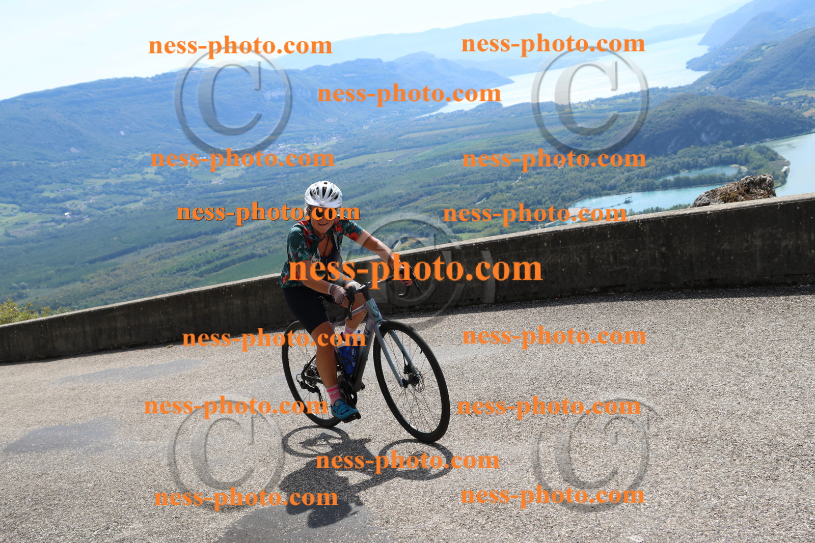 Col du Grand Colombier (494).JPG